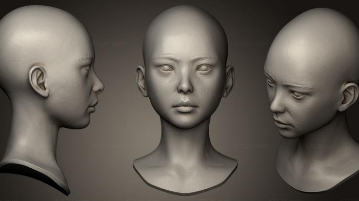 Анатомия скелеты и черепа (Женская Голова 2, ANTM_0105) 3D модель для ЧПУ станка